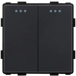 MP004-BK Черный двойной выключатель 2g1w 250V~10A