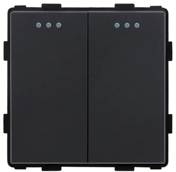 MP004-BK Черный двойной выключатель 2g1w 250V~10A